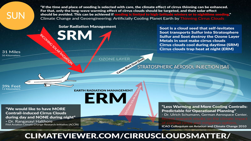 Geoengineering Solar Radiation Management SRM vs ERM: Cirrus Cloud Thinning